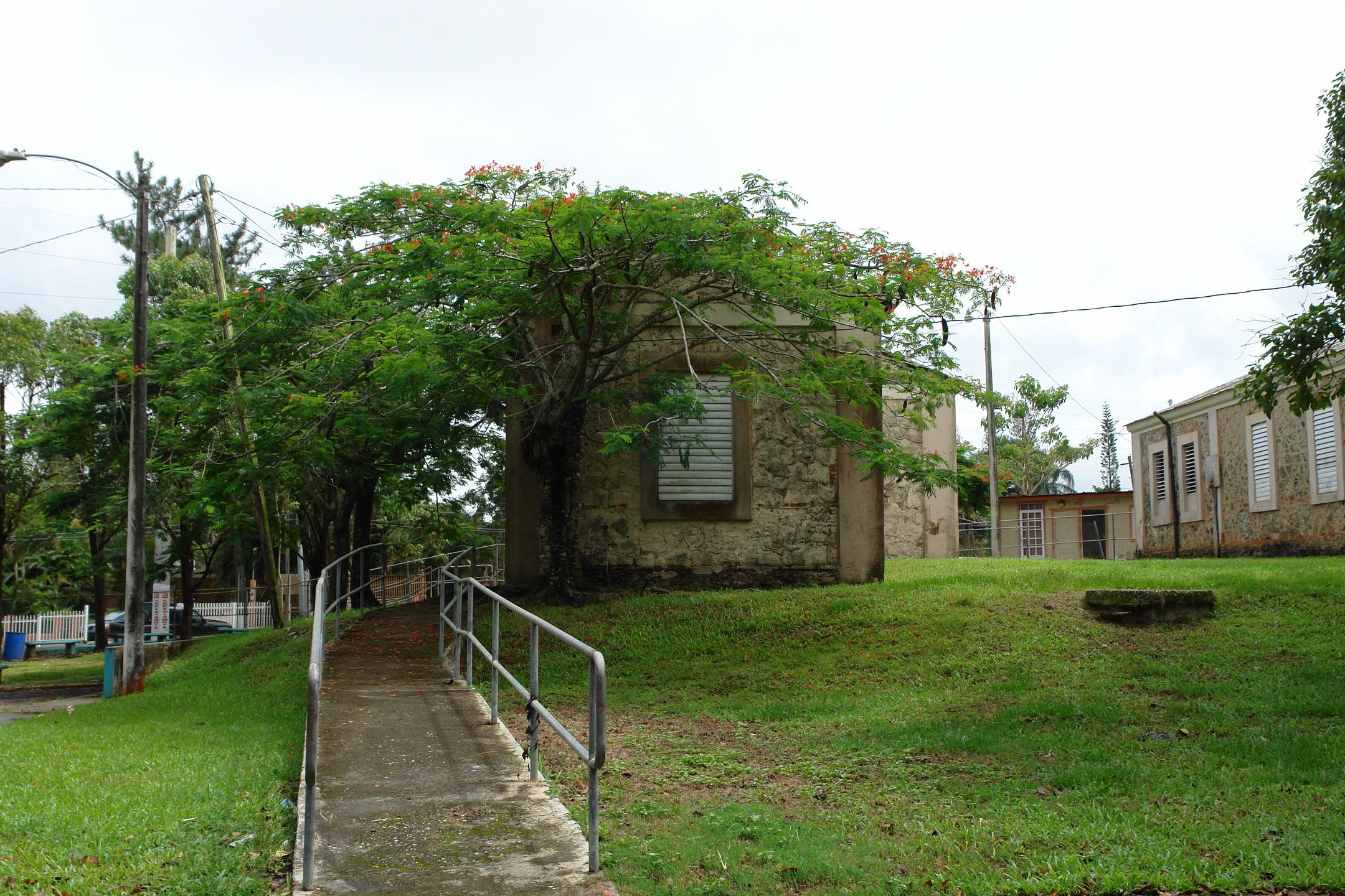 FDI - Aibonito - 2010 00045